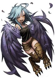  ahoge bare_shoulders bird_legs black_tank_top blue_feathers blue_hair blue_wings breasts cleavage digitigrade feathered_wings feathers female hair_between_eyes harpy htm_(gixig) long_hair looking_at_viewer midriff monster_girl monster_musume_no_iru_nichijou navel one_eye_closed open_mouth papi_(monster_musume) scales shedding shedding_feathers shorts sidelocks simple_background small_breasts solo talons tank_top teeth upper_teeth_only white_background winged_arms wings yellow_eyes 