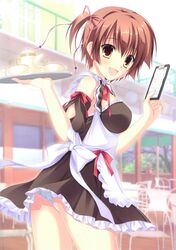  :d absurdres breasts brown_eyes brown_hair clipboard cup da_capo da_capo_iii female highres hinomoto_aoi medium_breasts open_mouth panties pantyshot smile takano_yuki_(allegro_mistic) teacup teapot tray underwear waitress white_panties 