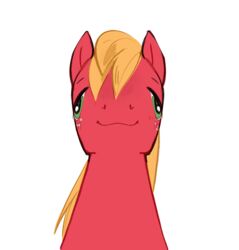  aztrial big_macintosh_(mlp) blonde_hair blursed_image earth_pony equid equine feral freckles friendship_is_magic front_facing fur green_eyes hair hasbro hi_res horse looking_at_viewer male mammal my_little_pony pony portrait red_body red_fur simple_background solo white_background 