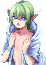  1boy bishounen collarbone dangle_earrings ear_covers ear_ornament earrings faize_scheifa_beleth green_hair hair_between_eyes highres hood hoodie jewelry koriina looking_at_viewer male_focus navel open_clothes open_hoodie open_mouth pointy_ears purple_eyes short_hair solo star_ocean star_ocean_the_last_hope upper_body white_background white_hoodie 