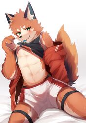  4_fingers abs anthro bedroom_eyes black_body black_fur blush bottomwear bulge candy canid canine clothed clothing clothing_lift dessert fingers food fox foxy_(nekojita) fur green_eyes hi_res hoodie lollipop looking_at_viewer male mammal narrowed_eyes navel nekojita orange_body orange_fur seductive shirt shirt_lift shorts simple_background solo tank_top topwear white_body white_fur 