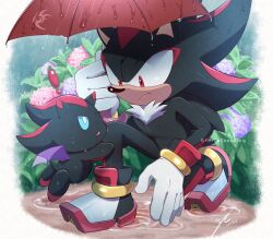  anthro black_body black_fur blue_eyes chao_(sonic) duo eulipotyphlan fur hedgehog hi_res kosafordraw male mammal outside plant raining red_eyes sega shadow_the_hedgehog sonic_the_hedgehog_(series) tail umbrella 