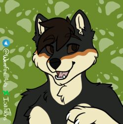  anthro canid canine canis domestic_dog male mammal shiba_inu solo spitz werefox_(artist) 