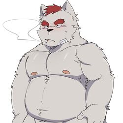  1:1 2022 anthro black_nose blush bodily_fluids canid canine grey_body hi_res humanoid_hands kemono male mammal navel nipples overweight overweight_male smoking solo sweat white_body whitebeast20 