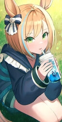  absurdres animal_ears blonde_hair blue_hair blue_jacket blue_nails bow commentary_request cup disposable_cup dolce_(dolsuke) drinking_straw female frills green_eyes hairbow highres holding holding_cup horse_ears horse_girl horse_tail jacket little_cocon_(umamusume) long_sleeves looking_at_viewer multicolored_hair nail_polish parted_lips puffy_long_sleeves puffy_sleeves short_hair sleeves_past_wrists smile solo squatting streaked_hair striped striped_bow tail umamusume 