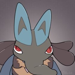  1:1 2022 ambiguous_gender anthro blue_arms blue_body blue_ears blue_fur boke_(artist) digital_media_(artwork) fur generation_4_pokemon grey_background grey_body grey_face grey_fur grey_inner_ear long_snout looking_at_viewer lucario nintendo pokemon pokemon_(species) red_eyes signature simple_background snout solo spikes standing tan_body tan_fur 