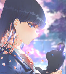  animal black_hair blue_eyes blurry blurry_background chinese_commentary closed_mouth commentary_request day eyelashes falling_petals feline female flower from_side hair_behind_ear highres holding holding_animal holding_cat jacket komi-san_wa_komyushou_desu komi_shouko lipstick long_hair looking_down makeup neck_ribbon outdoors petals pink_flower pink_ribbon ribbon shirt signature solo upper_body wangza white_shirt 