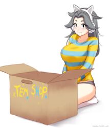  big_breasts blush box breasts cardboard cardboard_box clothed clothing container cosplay electronics fake_ears grey_hair hair headphones human mammal panties pattern_clothing pattern_shirt pattern_topwear razalor shirt simple_background striped_clothing striped_shirt striped_topwear stripes temmie_(undertale) topwear undertale undertale_(series) underwear white_background 