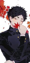  1boy akaashi_keiji autumn_leaves black_hair black_jacket buttons covering_own_mouth gakuran haikyuu!! highres holding holding_leaf jacket korean_commentary leaf long_sleeves looking_at_viewer male_focus mgmg_1012 school_uniform short_hair solo upper_body 