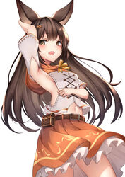  animal_ears aster_(granblue_fantasy) blush brown_eyes brown_hair duplicate erune female granblue_fantasy hair_ornament hairclip highres long_hair looking_at_viewer midriff navel pixel-perfect_duplicate sideless_outfit simple_background solo stomach white_background ym_(distance819) 