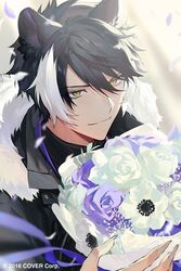  1boy anemone_(flower) animal_ears baby&#039;s-breath black_hair black_shirt bouquet closed_mouth copyright_notice fingernails flower fur-trimmed_jacket fur_trim hair_between_eyes holding holding_bouquet holostars jackal_boy jackal_ears jacket kageyama_shien looking_at_viewer male_focus multicolored_hair namakawa official_art petals purple_flower purple_ribbon purple_rose ribbon rose sharp_fingernails shirt smile solo sunlight swept_bangs two-tone_hair upper_body v-shaped_eyebrows virtual_youtuber white_flower white_hair white_rose yellow_eyes zipper 