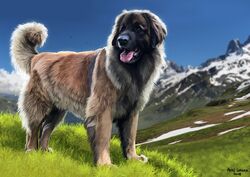  2018 ambient_bird ambient_flier ambient_silhouette ambiguous_gender arf-fra black_body black_fur black_nose blue_sky brown_body brown_fur canid canine canis depth_of_field detailed_background digital_media_(artwork) domestic_dog feral fluffy fur grass grey_body grey_fur group leonberger mammal molosser mountain mountain_dog nude open_mouth outside photorealism pink_tongue plant signature silhouette sky snow solo_focus tongue trio 