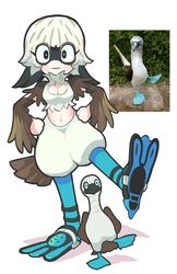  alternate_species ambiguous_gender animal_humanoid avian avian_humanoid bird blue-footed_booby booby_(bird) breasts cleavage clothed clothing duo feet female feral gashi-gashi humanoid mammal membrane_(anatomy) o_o reference_image sulid swimming_fins toes webbed_feet 