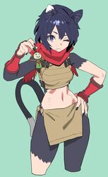  ;( alternate_eye_color animal_ears arm_guards armor bare_shoulders black_hair black_nails body_fur breasts brown_skirt cat_ears cat_girl cat_tail closed_mouth crop_top cropped_legs doll dungeon_meshi fang_out female green_background hand_on_own_hip hand_up highres holding holding_doll izutsumi leather_armor midriff mismatched_animal_ear_colors nail_polish navel oerba_yun_fang one_eye_closed ouma_bunshichirou pelvic_curtain short_hair simple_background skirt sleeveless small_breasts tail yaad_(dungeon_meshi) 