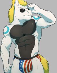  abs anthro big_bulge bulge clothed clothing cocky equid equine eyewear featureless_chest flag flag_clothing flag_print flag_underwear grey_background grin hi_res horse knuxlight male mammal manly muscular muscular_anthro muscular_male patriotic_clothing print_clothing print_underwear serratus simple_background smile solo source_request sunglasses underwear united_states_of_america v-cut 