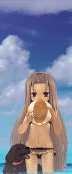  animal ball beachball bikini black_bikini blue_sky canine commentary_request covered_mouth day female flat_chest fleta hair_intakes highres holding holding_ball holding_beachball legs_apart light_brown_hair long_hair looking_at_viewer mabinogi navel outdoors photoshop_(medium) red_eyes sky solo standing swimsuit toro_(konirio) very_long_hair water wet 