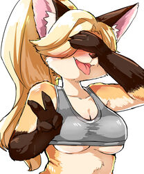  2017 4_fingers 5:6 anthro big_breasts black_pawpads blonde_hair blush bodily_fluids breasts brown_body brown_fur canid canine claws cleavage clothed clothing countershading covering covering_face covering_self crop_top female female_anthro finger_claws fingers fox fox&#039;s_sister_(kinokoningen) front_view fur gesture gloves_(marking) hair half-length_portrait hand_gesture hi_res inner_ear_fluff kemono kinokoningen long_hair mammal markings multicolored_body multicolored_fur open_mouth orange_body orange_fur pawpads ponytail portrait reaction_image shirt signature simple_background solo sweat tank_top tight_clothing tongue tongue_out topwear tuft under_boob v_sign white_background white_body white_fur 