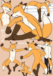  action_pose anthro balls barefoot bed canid canine casual_nudity clothing digital_media_(artwork) dress_shirt feet flat_colors fox front_view furniture genitals grin guide_lines japanese_text jumping male mammal manmosu_marimo multiple_poses navel nipples nude on_bed plantigrade pose rear_view senior_fox shirt sitting sketch_page sleeping smile solo text topwear walking 