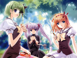  3girls bento blue_eyes bow fuyou_kaede green_hair imageboard_desourced multiple_girls national_verbena_academy_school_uniform nishimata_aoi non-web_source official_art orange_hair picnic pointy_ears primula purple_eyes purple_hair school_uniform shigure_asa shuffle! suzuhira_hiro twintails yellow_bow 