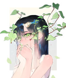  bad_id bad_pixiv_id bare_shoulders black_hair blood blurry closed_mouth commentary_request covering_own_mouth crying crying_with_eyes_open depth_of_field dripping eyelashes female from_side glowing green_eyes green_nails hair_flowing_over hand_over_own_mouth highres injury leaf long_hair looking_at_viewer mizumi_zumi monster_girl nail_polish original overgrown own_hands_together plant plant_girl sad sleeveless solo tears upper_body vines white_background 