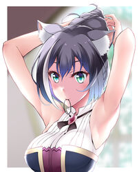  animal_ear_fluff animal_ears armpits arms_up black_hair blue_hair blurry blurry_background blush border breasts cat_ears cat_girl closed_mouth depth_of_field female fukunaga_yukito gradient_hair green_eyes hair_tie hairdressing karyl_(princess_connect!) looking_at_viewer medium_breasts mouth_hold multicolored_hair outside_border ponytail princess_connect! short_hair sleeveless smile solo streaked_hair tying_hair upper_body white_border white_hair 