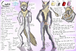  2022 anthro ass azee_(links) blonde_hair breasts canid canine canis chara_(links) chest_tuft collar colored coyote duo english_text farfener featureless_breasts female fur grey_body grey_fur hair happy love magic mammal model_sheet nude occult_symbol peaceful predators protective rebel red_eyes rune shiyan_(links) sibling_(lore) sigil sister_(lore) sisters_(lore) slave small_breasts solo symbol text the_auroran_archives tuft wolf 