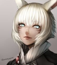  animal_ear_fluff animal_ears blind cat_ears close-up closed_mouth commentary_request facial_mark female final_fantasy final_fantasy_xiv grey_background grey_eyes hair_between_eyes high_collar highres kininaljaguar lips looking_at_viewer miqo&#039;te portrait short_hair simple_background solo twitter_username white_hair y&#039;shtola_rhul 