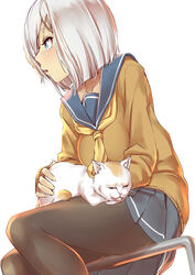  absurdres animal black_pantyhose blue_eyes breasts cardigan cat_loaf commentary_request feline female hair_ornament hair_over_one_eye hairclip hamakaze_(kancolle) highres kantai_collection large_breasts long_sleeves looking_to_the_side neckerchief no_gloves nukkoru open_mouth pantyhose pleated_skirt profile school_uniform serafuku short_hair simple_background sitting skirt sleeping solo squatting white_background white_hair yellow_neckerchief 