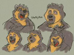  2020 4:3 anthro arctodus bear biped black_body black_fur black_nose closed_eyes fur hi_res lentejota6 male mammal multicolored_body multicolored_fur overweight overweight_anthro overweight_male short-faced_bear simple_background solo spectacled_bear two_tone_body two_tone_fur 