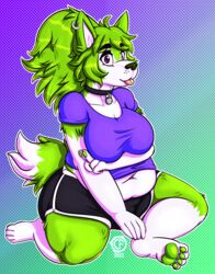  2022 alternate_color anthro belly belly_overhang big_breasts bottomwear breasts canid canine canis citrusfumes clothed clothing collar digital_media_(artwork) ear_piercing ear_ring english_text female fur green_eyes hair hi_res kris_(krisispiss) looking_at_viewer mammal navel overweight overweight_anthro overweight_female pawpads paws piercing purple_body purple_fur purple_hair ring_piercing shirt shorts simple_background smile solo sweat_shorts t-shirt text thick_thighs tongue tongue_out topwear watermark white_body white_fur wide_hips wolf 