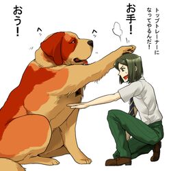  1:1 alternate_species canid canine canis domestic_dog duo fate_(series) feral feralized human male mammal molosser mountain_dog rider_iskander saint_bernard size_difference tango_gunma type-moon waver_velvet 