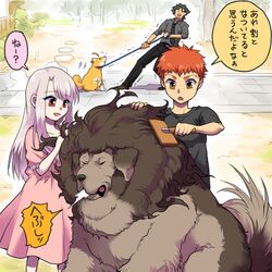  1:1 alternate_species artoria_pendragon berserker_hercules brush brushing brushing_fur canid canine canis domestic_dog fate_(series) female feral feralized fur group human illyasviel_von_einzbern kiritsugu_emiya livestock_guardian_dog lolicon male mammal molosser mountain_dog pastoral_dog personal_grooming shiba_inu shirou_emiya size_difference social_grooming spitz tango_gunma tibetan_mountain_dog type-moon young 