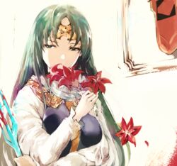  amaryllis_(flower) bad_id bad_pixiv_id blood blood_on_weapon circlet clip_studio_paint_(medium) female flower green_hair hand_up holding holding_flower holding_weapon indoors long_sleeves maris_amaryllis parted_bangs rance_(series) red_flower shado_ne solo upper_body weapon white_background 