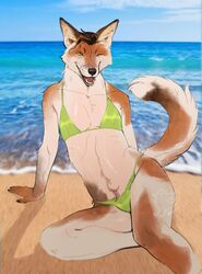  5_fingers anthro arm_support backward_arm_support beach beakbonk bikini bikini_bottom bikini_bulge bikini_top blurred_background brown_body brown_fur brown_hair brown_pubes bulge canid canine canis claws clothed clothing cloud coyote crossdressing finger_claws fingers fur green_bikini green_clothing green_eyes green_swimwear hair hi_res inner_ear_fluff looking_at_viewer male mammal on_ground on_sand one_eye_closed open_mouth open_smile outside photo_background photo_manipulation photography_(artwork) pinup pose pubes seaside sharp_teeth sitting sky smile solo string_bikini swimwear tail tan_body tan_fur teeth tongue triangle_bikini tuft water wink winking_at_viewer 