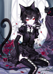  alcohol animal_ears artist_name black_cat black_choker black_dress black_gloves black_hair black_thighhighs bug butterfly cat_ears cat_girl chinese_commentary choker commentary cup dress drinking_glass elbow_gloves feline female gloves highres jewelry medium_hair necklace original petals puffy_short_sleeves puffy_sleeves red_eyes sheya short_sleeves signature sitting solo thighhighs wine wine_glass 