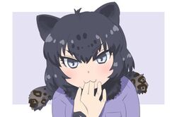  2017 2d_animation 5_fingers :3 ambiguous_gender ambiguous_pov animal_humanoid animal_print animated animated_png arm_grab biped black_hair black_jaguar_(kemono_friends) blinking blue_background blue_clothing blue_shirt blue_topwear blush border bust_portrait clothed clothing digital_drawing_(artwork) digital_media_(artwork) dress_shirt duo eyebrow_through_hair eyebrows eyelashes felid felid_humanoid female female/ambiguous female_focus finger_fetish finger_in_mouth finger_play finger_suck fingers first_person_view front_view grey_eyes hair humanoid humanoid_hands jaguar_humanoid jaguar_print japanese kemono_friends leopard_spots light light_body light_skin lighting looking_at_viewer loop mammal mammal_humanoid melanistic miyase outside_border pantherine pantherine_humanoid parody portrait scarf shadow shirt short_hair short_playtime simple_background smile solo_focus spots sucking suckling tan_body tan_skin topwear translucent translucent_hair white_border 