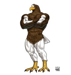  2019 4_toes abs accipitrid accipitriform anthro avian avian_feet beak biceps biped bird black_claws brown_body brown_feathers claws crossed_arms dated digital_media_(artwork) eagle feathers featureless_crotch feet front_view full-length_portrait male matataku multicolored_body multicolored_feathers muscular muscular_anthro muscular_male nude pecs portrait pose quads scutes sea_eagle signature simple_background solo standing steller&#039;s_sea_eagle tail tail_feathers talons toe_claws toes white_background white_body white_feathers yellow_beak yellow_eyes yellow_sclera 