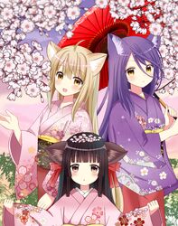  3girls :d :o ahoge animal_ears blunt_bangs blush brown_eyes cherry_blossoms commentary_request floral_print fox_ears hair_between_eyes hair_ribbon highres holding holding_umbrella japanese_clothes kimono konohana_kitan light_brown_hair long_hair long_sleeves looking_at_viewer multiple_girls obi oerba_yun_fang oil-paper_umbrella open_mouth outstretched_arms parted_lips petals pink_kimono print_kimono purple_hair purple_kimono red_kimono red_ribbon red_umbrella ribbon ryoutan sakura_(konohana_kitan) sash satsuki_(konohana_kitan) smile spread_arms umbrella very_long_hair wide_sleeves yuzu_(konohana_kitan) 