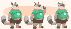  2019 absurd_res anthro belly bottomwear clothing hi_res lizard_soup male mammal overweight overweight_anthro overweight_male procyonid raccoon shirt shorts simple_background solo topwear 