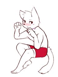  2016 3:4 5_fingers 5_toes anthro blush bottomwear clothed clothing domestic_cat feet felid feline felis fingers fur male mammal red_bottomwear red_clothing shorts simple_background solo toes topless white_background white_body white_fur woong young young_anthro 