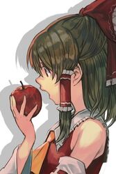  apple ascot bad_apple!! bare_shoulders bow brown_hair detached_sleeves female food frilled_bow frills from_side fruit hair_tubes hairbow hakurei_reimu holding holding_food holding_fruit hungry_clicker long_hair open_mouth profile red_bow ribbon-trimmed_sleeves ribbon_trim shadow sidelocks solo touhou upper_body yellow_ascot 