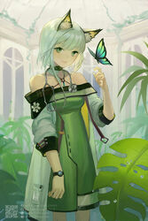  animal_ear_fluff animal_ears arknights artist_name bare_shoulders blue_butterfly bug butterfly closed_mouth detached_collar dew_drop dress female green_dress green_eyes highres indoors jacket jewelry kal&#039;tsit_(arknights) leaf looking_at_viewer pocket short_hair short_hair_with_long_locks solo standing star_of_life stethoscope vsmile watch water_drop watermark web_address white_hair wristwatch 