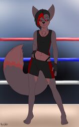  2021 5_toes absurd_res aged_up anthro athletic_wear barefoot black_hair black_nose bottomwear breasts canid canine chest_tuft clothed clothing demon detailed_background dipstick_tail feet female fighting_ring fingerless_gloves fluffy fluffy_tail fox front_view full-length_portrait fully_clothed gloves gym_bottomwear gym_shorts hair half-closed_eyes hand_on_hip handwear hi_res highlights_(coloring) holding_hip kamora looking_at_viewer mammal markings midriff narrowed_eyes navel panties plantigrade portrait pose raised_clothing raised_shirt raised_topwear red_eyes red_highlights rexsatou shirt shorts small_breasts smile smirk solo standing tail tail_markings thong_straps toes topwear tuft underwear whale_tail 