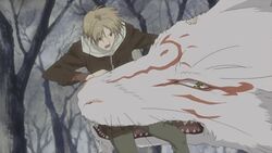 16:9 canid canine canis duo feral fox grandfathered_content human madara_(natsume_yuujinchou) male mammal natsume_yuujinchou official_art screencap takashi_natsume unknown_artist widescreen wolf zoku_natsume_yuujinchou