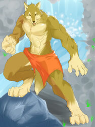 3:4 4_toes 5_fingers abs anthro barefoot biped bottomwear brown_body brown_fur canid canine canis claws clothed clothing collarbone day feet fingers front_view fur gloves_(marking) leg_markings loincloth looking_at_viewer male mammal markings muscular muscular_anthro muscular_male open_mouth outside roarwolf skimpy socks_(marking) solo step_pose tail toes topless water waterfall wolf yellow_eyes