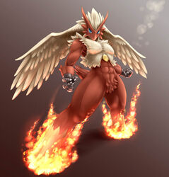 2010 4_fingers abs anthro avian barefoot biceps biped bird biri blaziken blue_eyes claws feathered_wings feathers feet fingers fire fluffy fluffy_tail generation_3_pokemon hair head_wings leg_markings looking_at_viewer male markings multicolored_body multicolored_feathers muscular muscular_anthro muscular_male nintendo nude pecs pokemon pokemon_(species) pokemorph pubes red_body red_feathers riot41 short_tail simple_background socks_(marking) solo standing tail white_body white_feathers white_hair wings