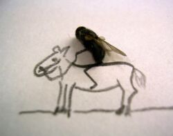 ambiguous_gender arthropod black_body duo equid equine feral fly_(animal) grandfathered_content graphite_(artwork) horse horsefly humor insect_wings insects low_res mammal mixed_media pencil_(artwork) photography_(artwork) pun quadruped snout source_request standing tabanid traditional_media_(artwork) unknown_artist wings