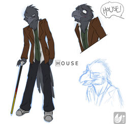 anthro avian beak biped bird blue_eyes bottomwear cane clothed clothing corvid corvus_(genus) crow digital_media_(artwork) feathers feet footwear frown fully_clothed gregory_house grey_body house.m.d. jacket male oscine pants passerine pose shirt shoes simple_background solo standing tail talons toes topwear vagabond_(artist) walking_stick white_background