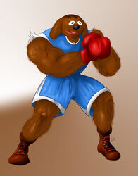 balrog_(street_fighter) boxing_gloves capcom clothing derp_eyes gavacho13 handwear male muppets rowlf solo street_fighter the_jimmy_dean_show