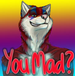 2010 abstract_background anthro bust_portrait canid canine canis caption countershading english_text gradient_background kyma male mammal meme portrait rainbow reaction_image simple_background smile solo text wolf